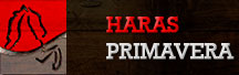 Haras Primavera