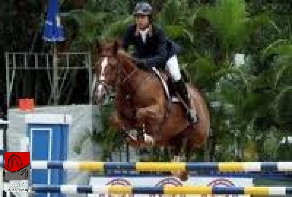 UP TOWN GIRL GMS (AUDACIA ST CECILIA)